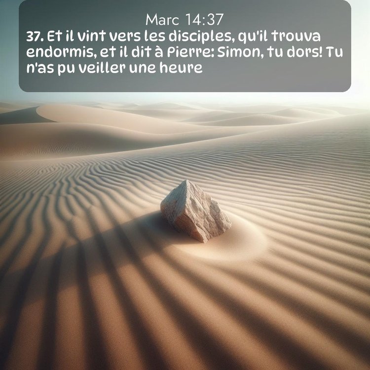 image nature avec verset biblique de la Bible