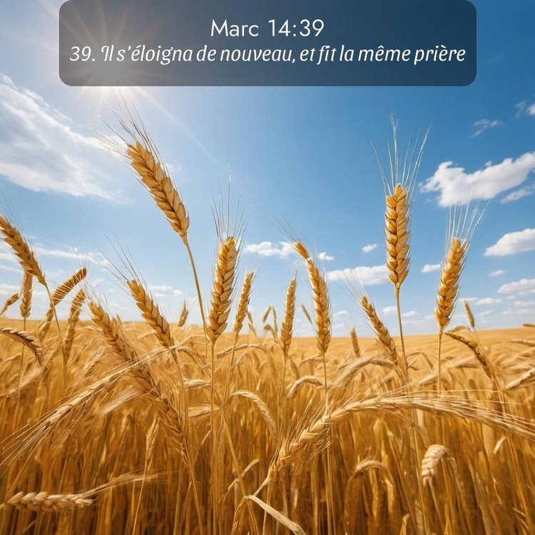 Segond Évangile selon Marc 14:39