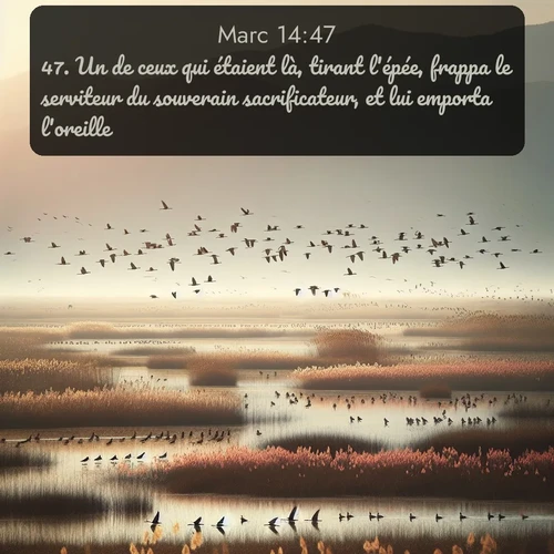 Segond Évangile selon Marc  ; image nature: image avec le verset biblique :Un de ceux qui étaient là, tirant l&#039;épée, frappa le serviteur du souverain sacrificateur, et lui emporta l&#039;oreille. ;  ; 14:47