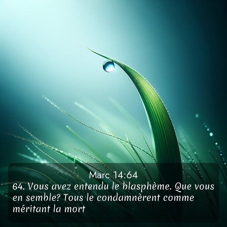 Segond Évangile selon Marc 14:64