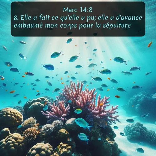 Segond Évangile selon Marc  ; image nature: image avec le verset biblique :Elle a fait ce qu&#039;elle a pu; elle a d&#039;avance embaumé mon corps pour la sépulture. ;  ; 14:8