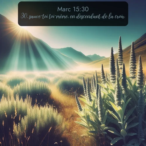 Segond Évangile selon Marc  ; image nature: image avec le verset biblique :sauve-toi toi-même, en descendant de la croix! ;  ; 15:30