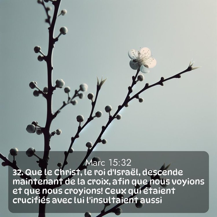image nature avec verset biblique de la Bible