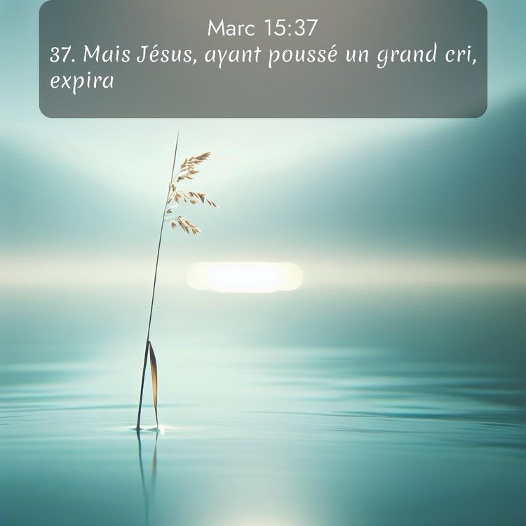 Segond Évangile selon Marc 15:37