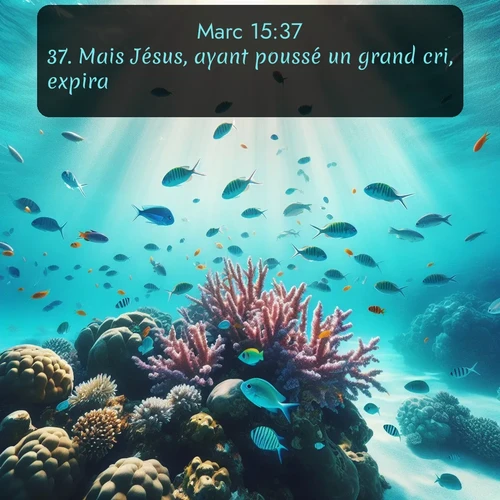 Segond Évangile selon Marc  ; image nature: image avec le verset biblique :Mais Jésus, ayant poussé un grand cri, expira. ;  ; 15:37