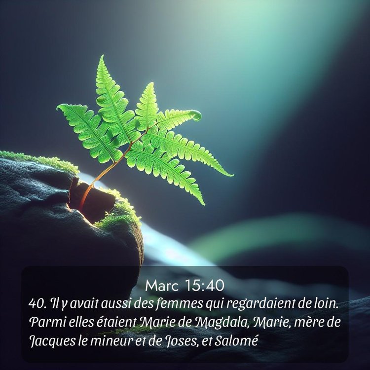 Segond Évangile selon Marc 15:40