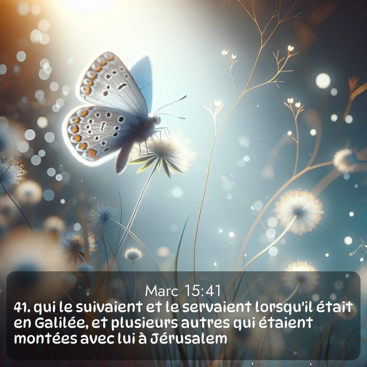 image nature avec verset biblique de la Bible