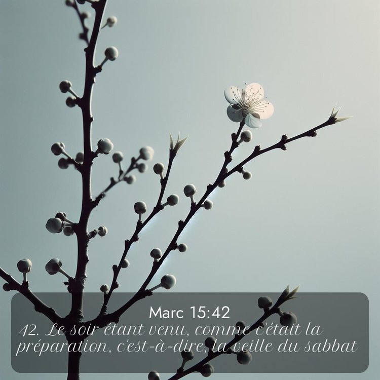 image nature avec verset biblique de la Bible