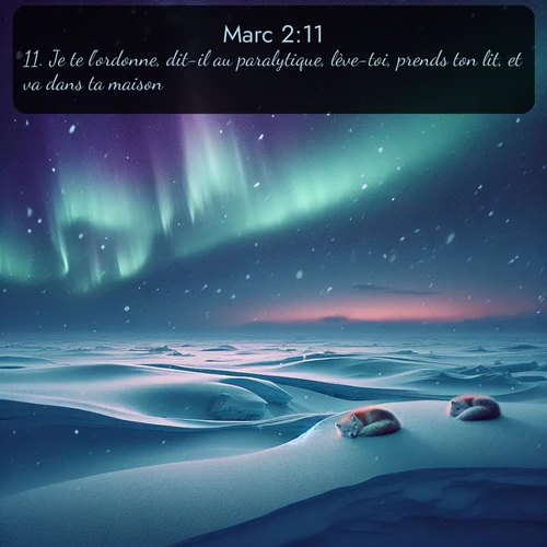 Segond Évangile selon Marc  ; image nature: image avec le verset biblique :Je te l&#039;ordonne, dit-il au paralytique, lève-toi, prends ton lit, et va dans ta maison. ;  ; 2:11