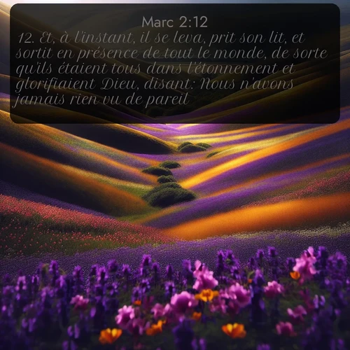 Segond Évangile selon Marc  ; image nature: image avec le verset biblique :Et, à l&#039;instant, il se leva, prit son lit, et sortit en présence de tout le monde, de sorte qu&#039;ils étaient tous dans l&#039;étonnement et glorifiaient Dieu, disant: Nous n&#039;avons jamais rien vu de pareil. ;  ; 2:12