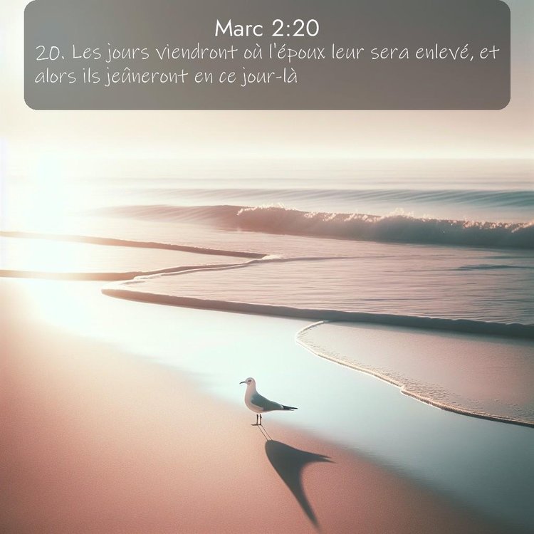 image nature avec verset biblique de la Bible