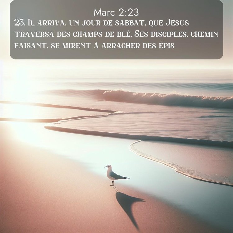 image nature avec verset biblique de la Bible