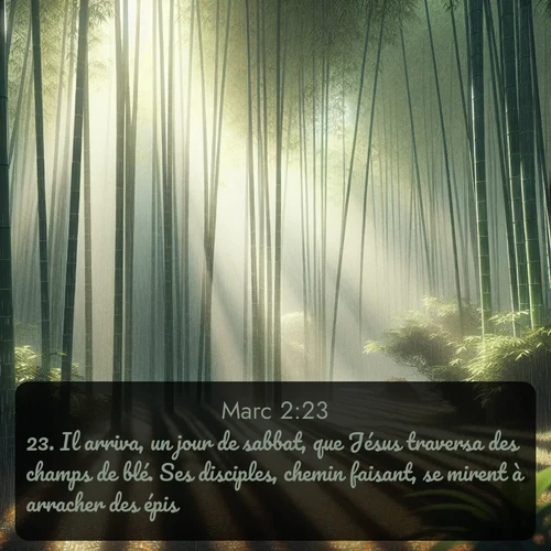 Segond Évangile selon Marc  ; image nature: image avec le verset biblique :Il arriva, un jour de sabbat, que Jésus traversa des champs de blé. Ses disciples, chemin faisant, se mirent à arracher des épis. ;  ; 2:23