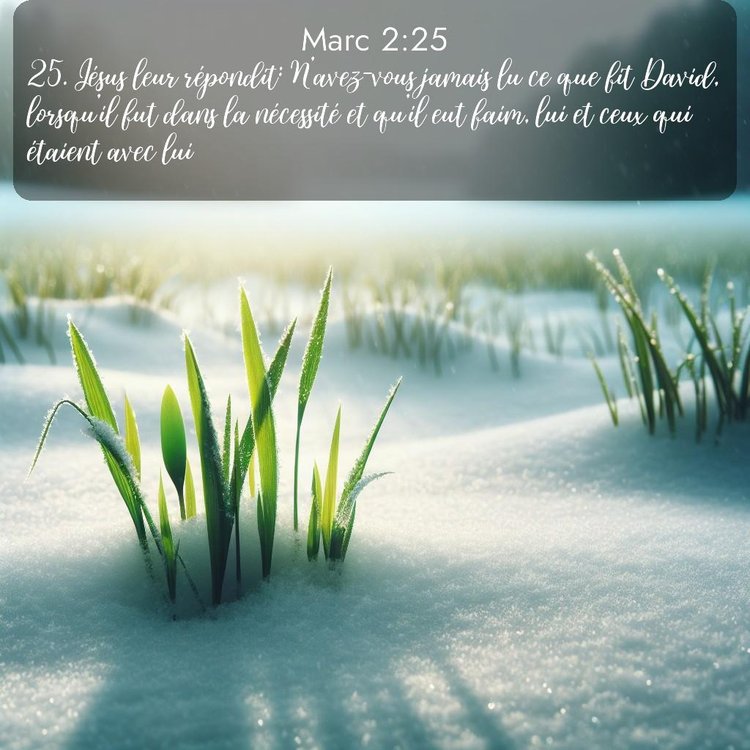 image nature avec verset biblique de la Bible