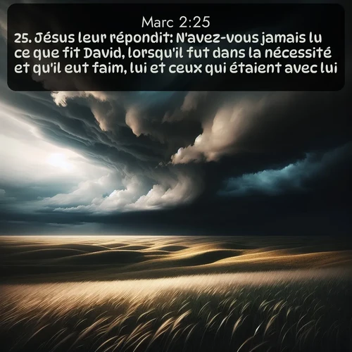 Segond Évangile selon Marc  ; image nature: image avec le verset biblique :Jésus leur répondit: N&#039;avez-vous jamais lu ce que fit David, lorsqu&#039;il fut dans la nécessité et qu&#039;il eut faim, lui et ceux qui étaient avec lui; ;  ; 2:25