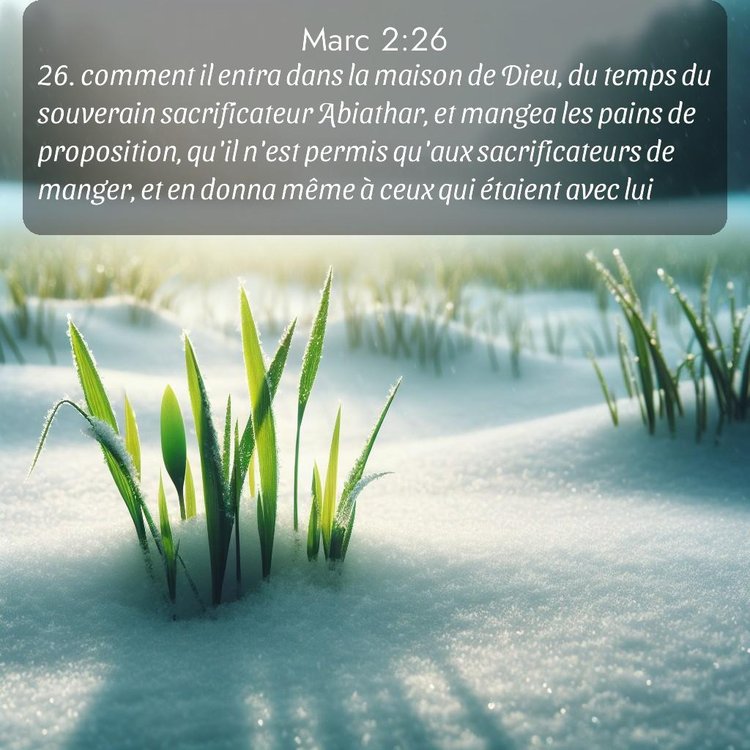 image nature avec verset biblique de la Bible
