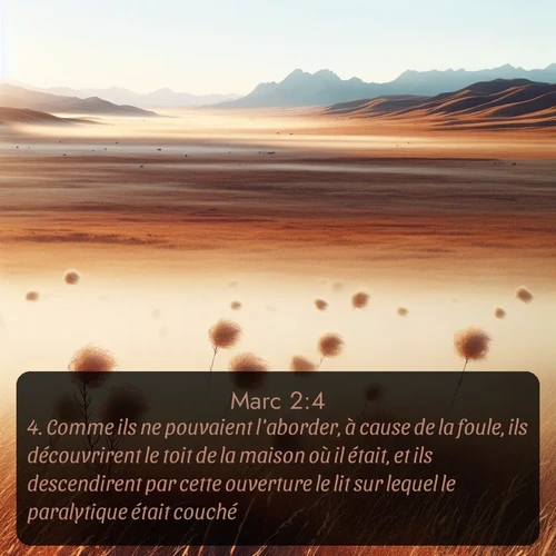 Segond Évangile selon Marc  ; image nature: image avec le verset biblique :Comme ils ne pouvaient l&#039;aborder, à cause de la foule, ils découvrirent le toit de la maison où il était, et ils descendirent par cette ouverture le lit sur lequel le paralytique était couché. ;  ; 2:4