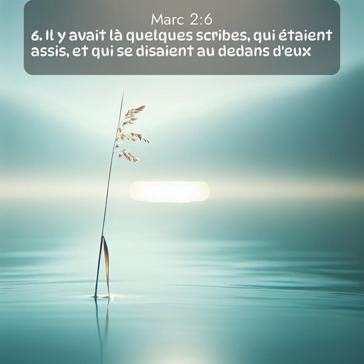 Segond Évangile selon Marc 2:6