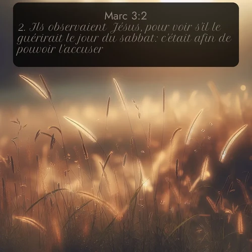 Segond 41 3:2