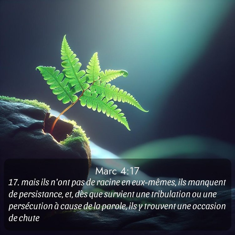 Segond Évangile selon Marc 4:17