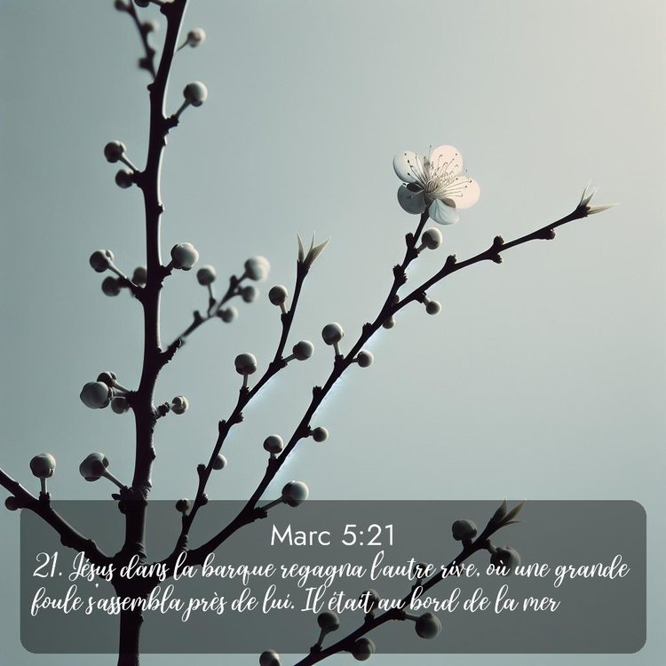 image nature avec verset biblique de la Bible