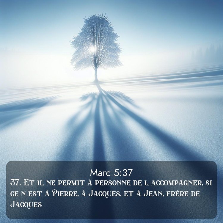 Segond Évangile selon Marc 5:37