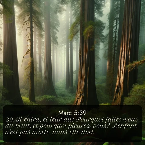 Segond Évangile selon Marc  ; image nature: image avec le verset biblique :Il entra, et leur dit: Pourquoi faites-vous du bruit, et pourquoi pleurez-vous? L&#039;enfant n&#039;est pas morte, mais elle dort. ;  ; 5:39