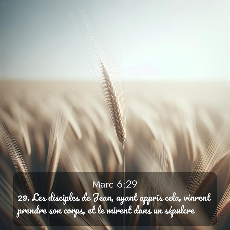 Segond Évangile selon Marc 6:29