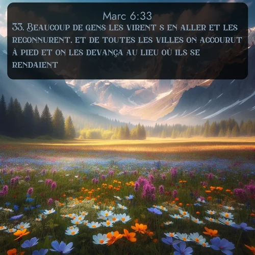Segond Évangile selon Marc  ; image nature: image avec le verset biblique :Beaucoup de gens les virent s&#039;en aller et les reconnurent, et de toutes les villes on accourut à pied et on les devança au lieu où ils se rendaient. ;  ; 6:33