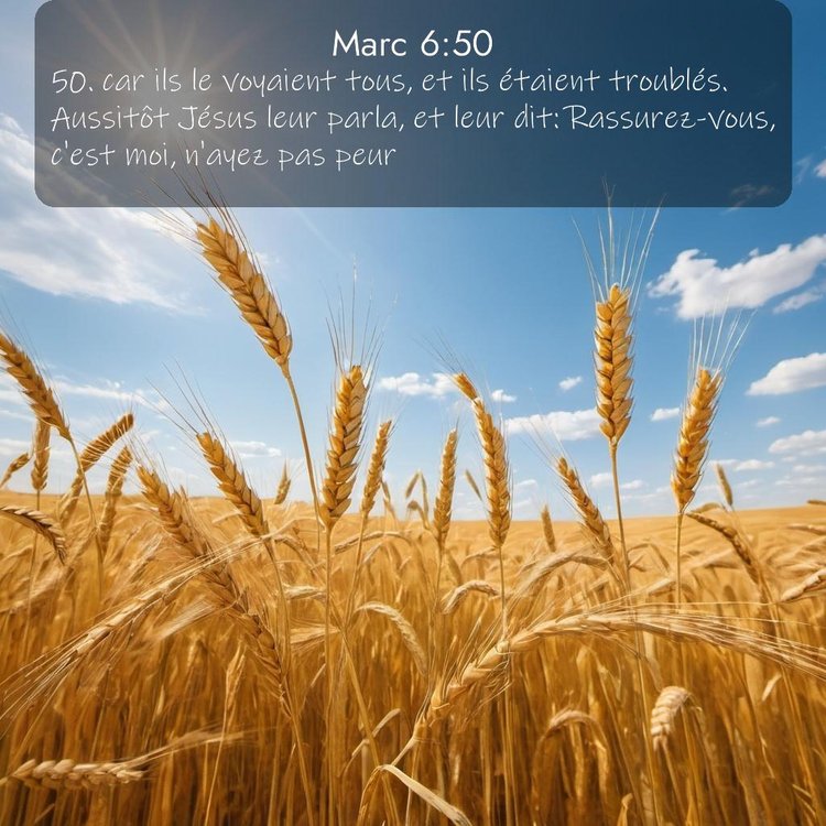 image nature avec verset biblique de la Bible