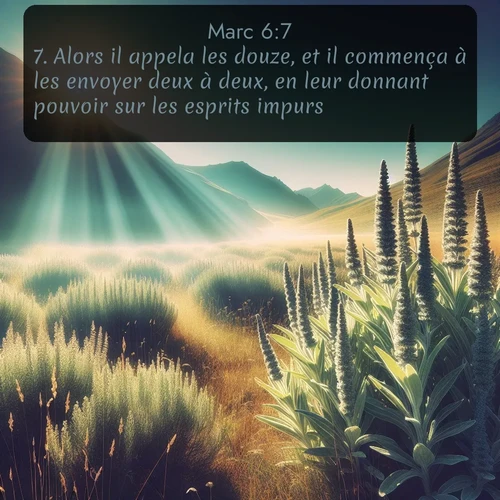 Segond Évangile selon Marc  ; image nature: image avec le verset biblique :Alors il appela les douze, et il commença à les envoyer deux à deux, en leur donnant pouvoir sur les esprits impurs. ;  ; 6:7