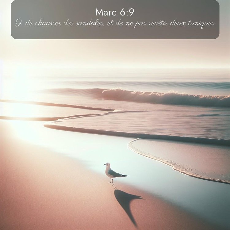 Segond Évangile selon Marc 6:9