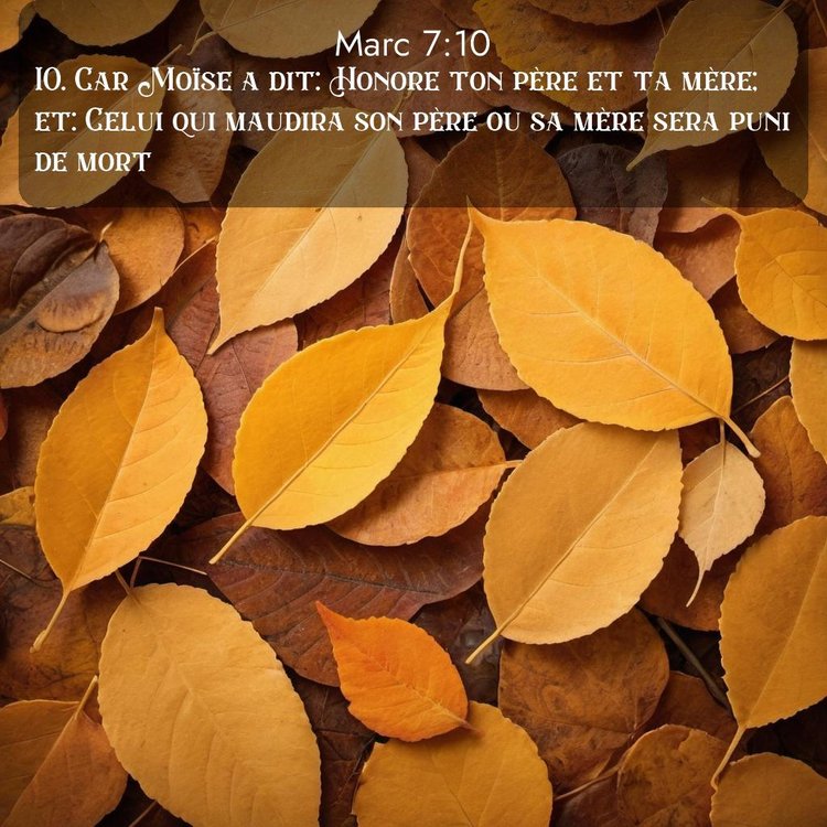image nature avec verset biblique de la Bible