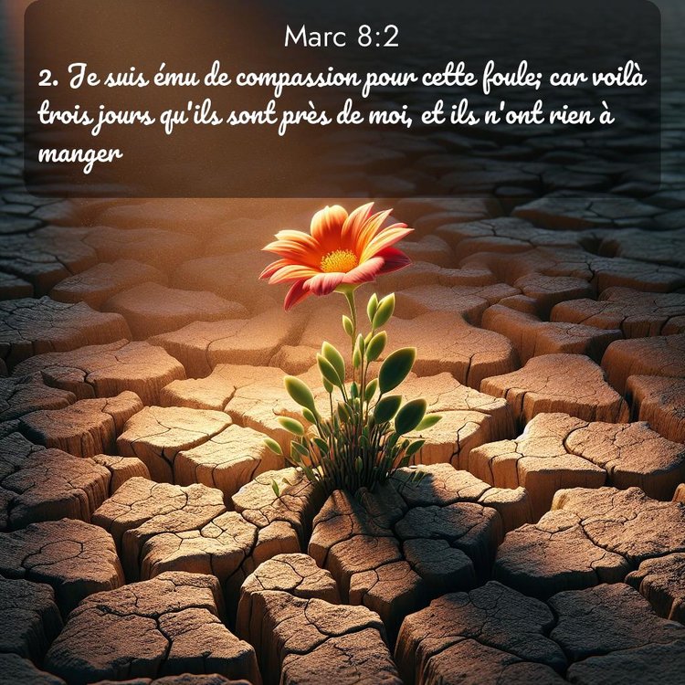 Segond Évangile selon Marc 8:2