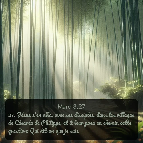Segond Évangile selon Marc  ; image nature: image avec le verset biblique :Jésus s&#039;en alla, avec ses disciples, dans les villages de Césarée de Philippe, et il leur posa en chemin cette question: Qui dit-on que je suis? ;  ; 8:27