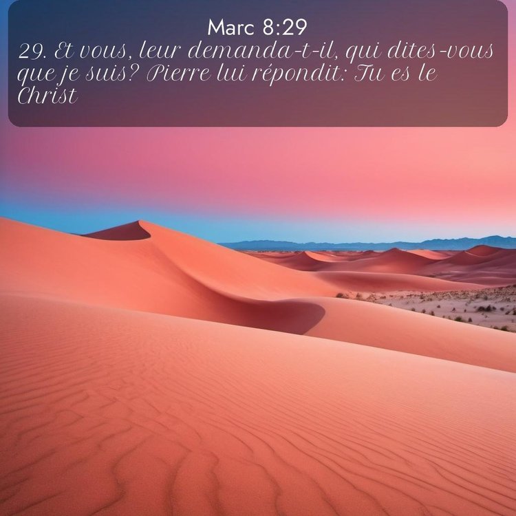 Segond Évangile selon Marc 8:29