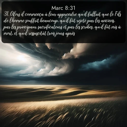 Segond Évangile selon Marc  ; image nature: image avec le verset biblique :Alors il commença à leur apprendre qu&#039;il fallait que le Fils de l&#039;homme souffrît beaucoup, qu&#039;il fût rejeté par les anciens, par les principaux sacrificateurs et par les scribes, qu&#039;il fût mis à mort, et qu&#039;il ressuscitât trois jours après. ;  ; 8:31