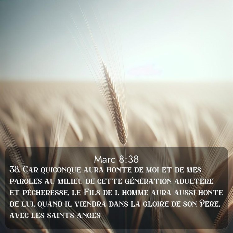 image nature avec verset biblique de la Bible