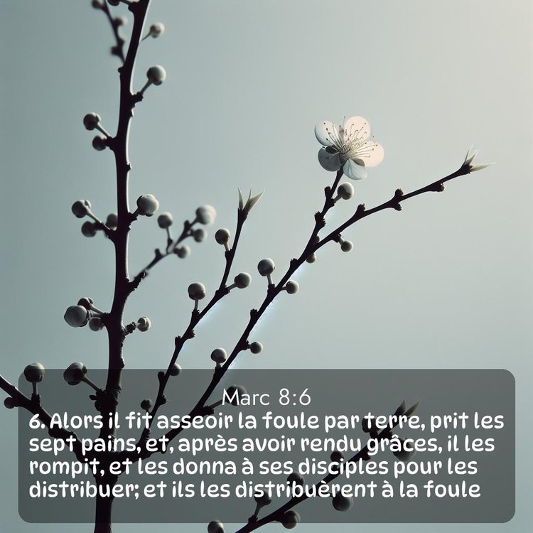 image nature avec verset biblique de la Bible