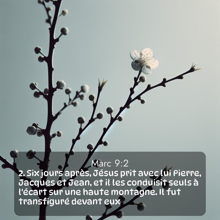 Segond Évangile selon Marc 9:2