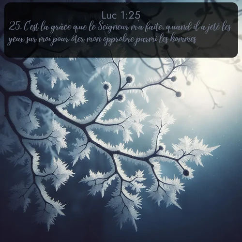Segond Évangile selon Luc  ; image nature: image avec le verset biblique :C&#039;est la grâce que le Seigneur m&#039;a faite, quand il a jeté les yeux sur moi pour ôter mon opprobre parmi les hommes. ;  ; 1:25