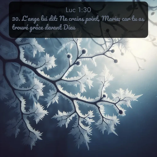 Segond Évangile selon Luc  ; image nature: image avec le verset biblique :L&#039;ange lui dit: Ne crains point, Marie; car tu as trouvé grâce devant Dieu. ;  ; 1:30