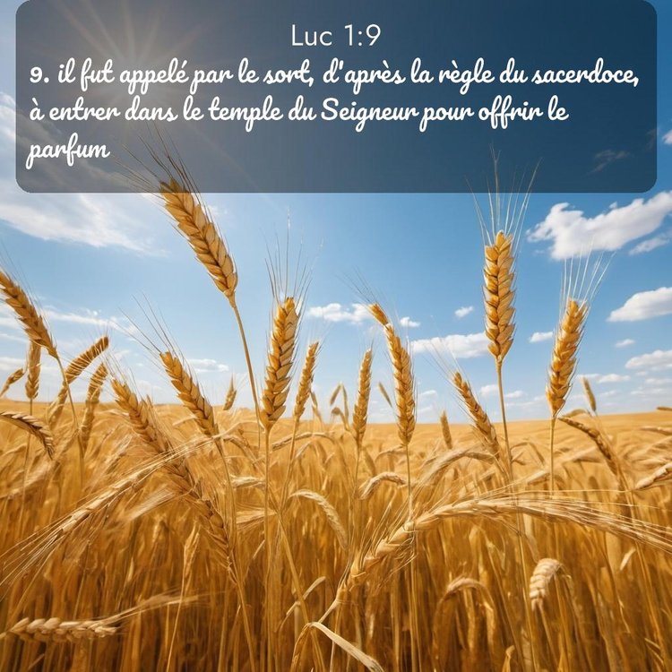 Segond Évangile selon Luc 1:9