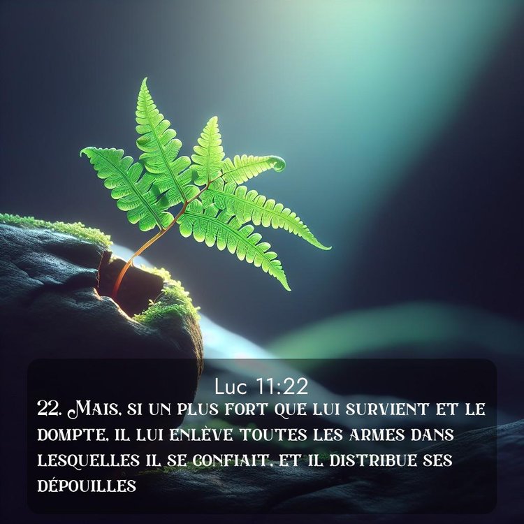 image nature avec verset biblique de la Bible