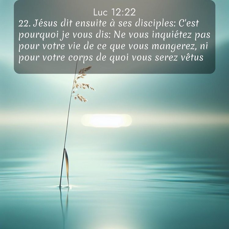 Segond Évangile selon Luc 12:22