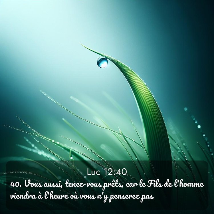 image nature avec verset biblique de la Bible