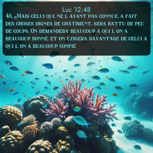 Segond Évangile selon Luc  ; image nature: image avec le verset biblique :Mais celui qui, ne l&#039;ayant pas connue, a fait des choses dignes de châtiment, sera battu de peu de coups. On demandera beaucoup à qui l&#039;on a beaucoup donné, et on exigera davantage de celui à qui l&#039;on a beaucoup confié. ;  ; 12:48