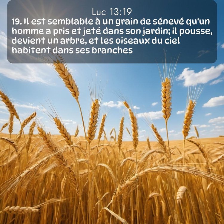 Segond Évangile selon Luc 13:19