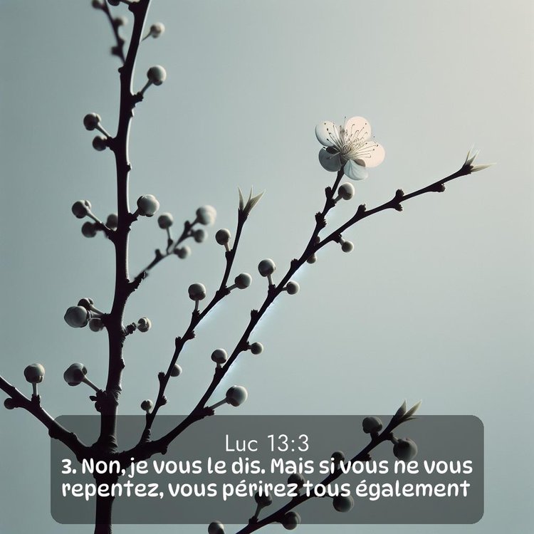 Segond Évangile selon Luc 13:3