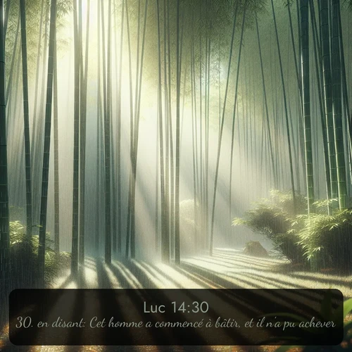 Segond Évangile selon Luc  ; image nature: image avec le verset biblique :en disant: Cet homme a commencé à bâtir, et il n&#039;a pu achever? ;  ; 14:30